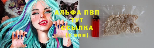СК Ладушкин
