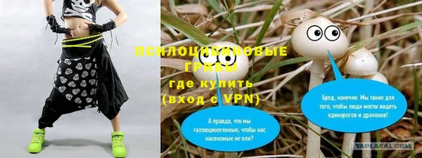 СК Ладушкин