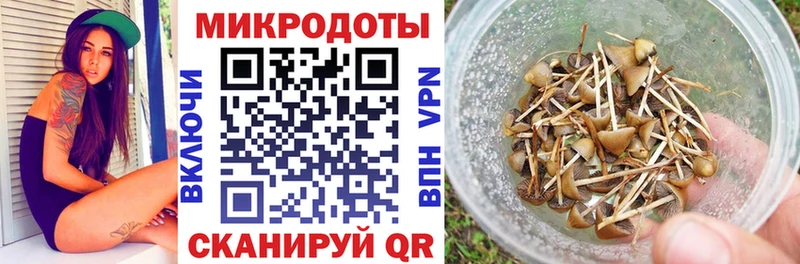 Галлюциногенные грибы MAGIC MUSHROOMS  Курск 