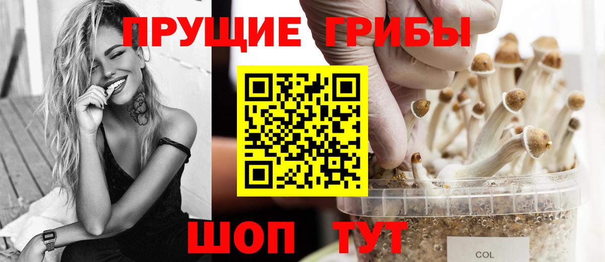 Псилоцибиновые грибы ЛСД  Галлюциногенные грибы ЛСД  Курск 